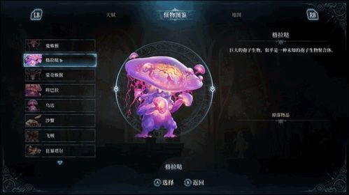 《心渊梦境》:角色培养深度解析,探寻成长之路的奥秘