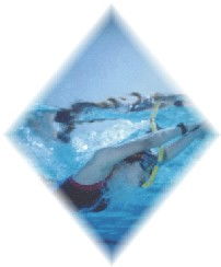 《西游无双》PVE与PVP模式深度剖析:策略各异,玩法多元