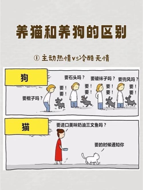 宠物与伙伴:《境·界 刀鸣》宠物养成与助战策略,境界 刀鸣