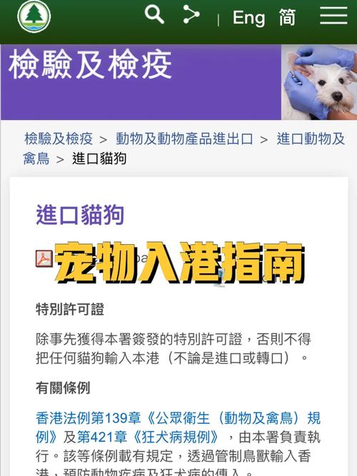 《九阴真经2》宠物培养指南：打造你的专属战斗伙伴, 宠物养成，从了解开始