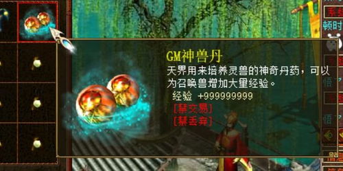 《天命西游》时辰拜神效果揭秘:祈福最佳时机全解析